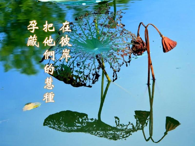 mmexport1571984206648