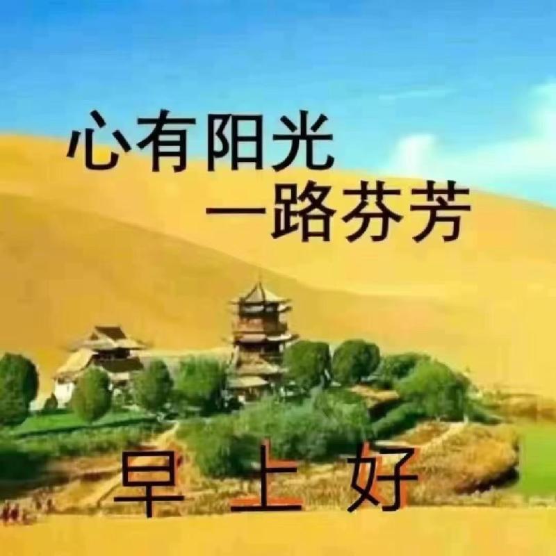 mmexport1572215085302