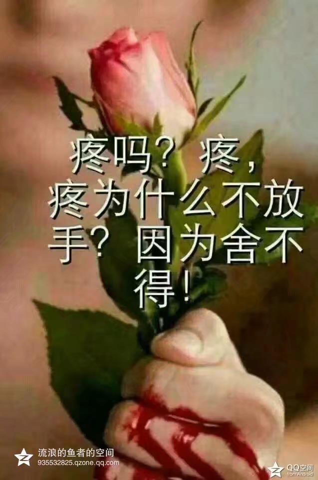 645947537