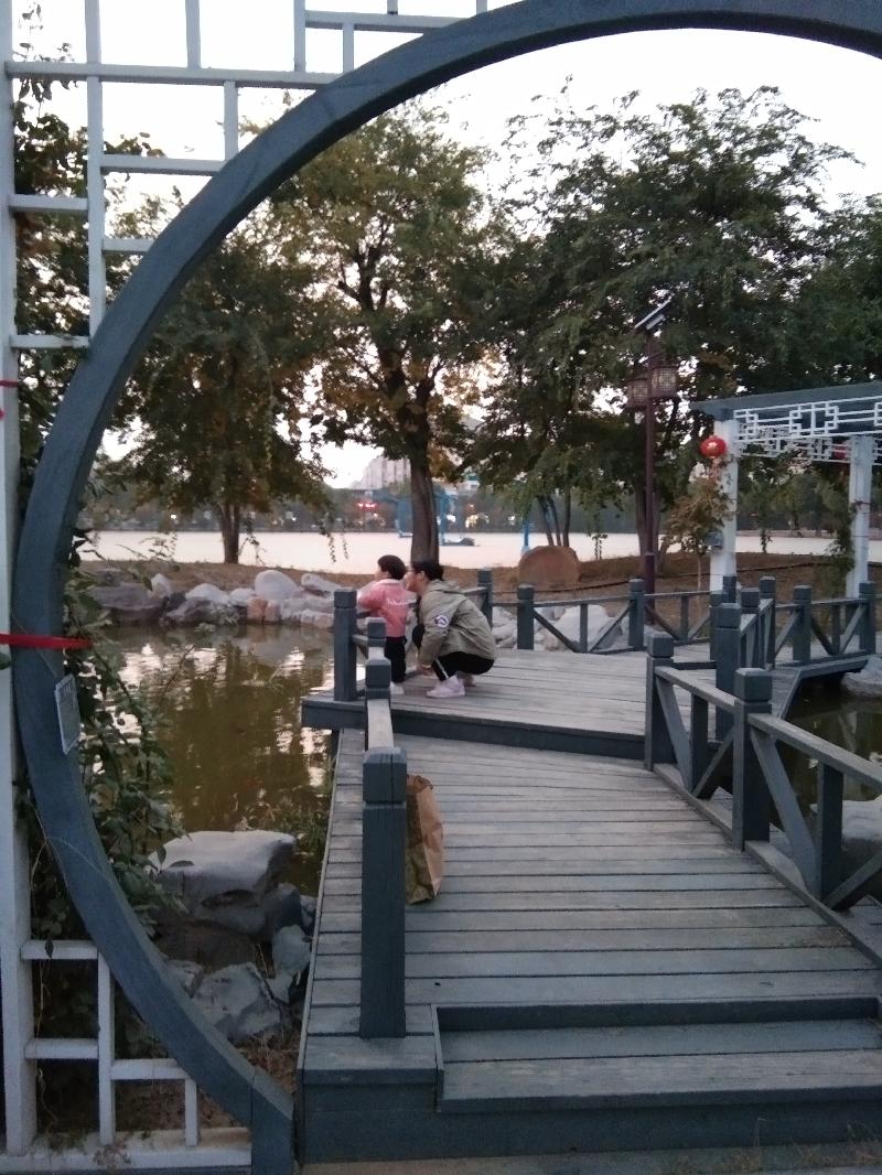 IMG_20191101_172054
