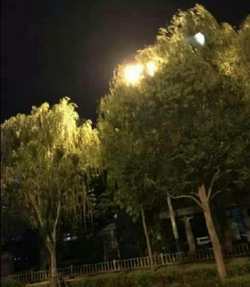 Screenshot_20191103-164830-821
