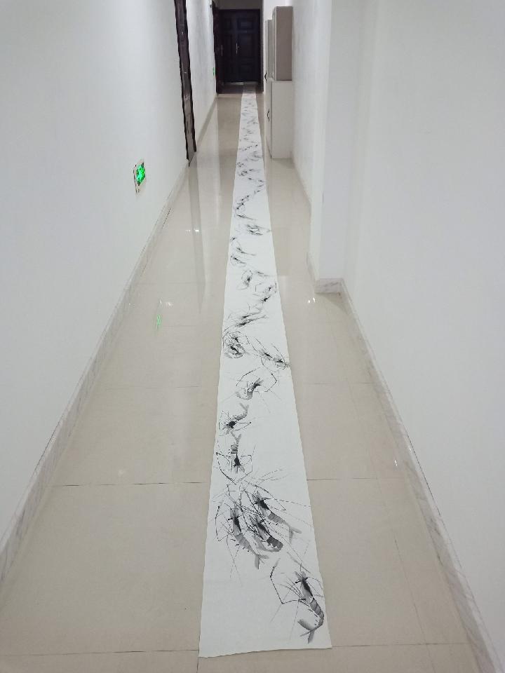 赞王石白雨老师百虾图 作者:羊角