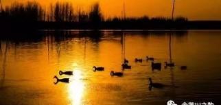 7F1815C7-6CFF-4EA8-99A7-2D2FADB26173