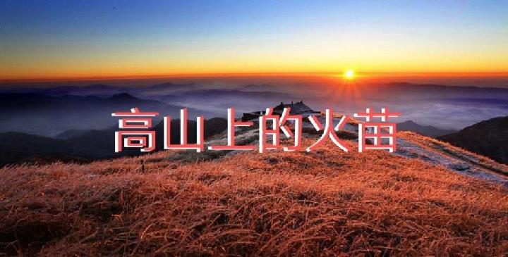 高山上的火苗‖收集:姚威