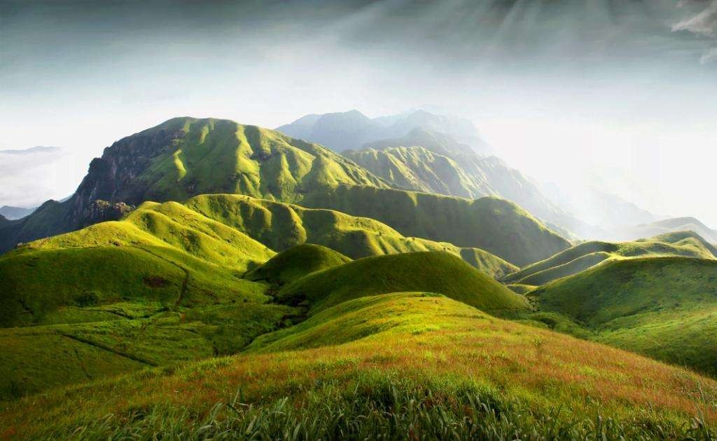 高山上的火苗‖收集:姚威（图7）