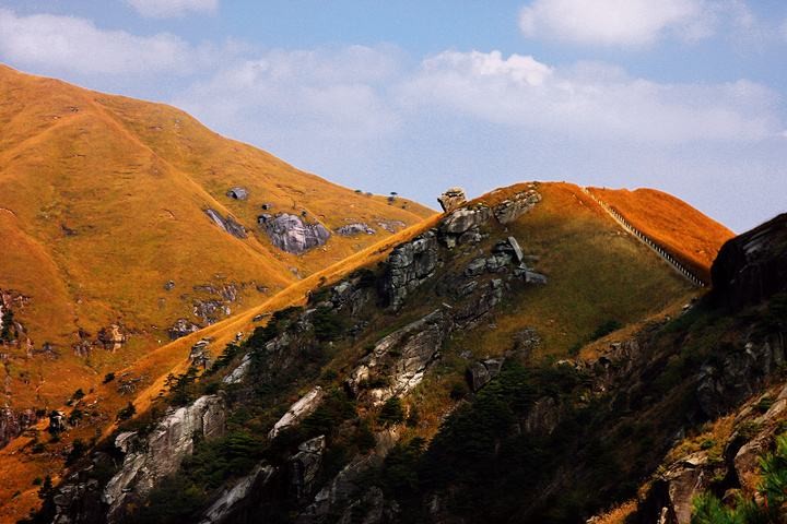 高山上的火苗‖收集:姚威（图8）