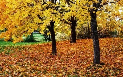 mmexport1573132547797