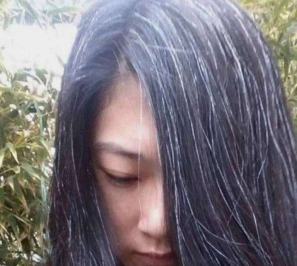 白发吟 文/史新柱(图2)