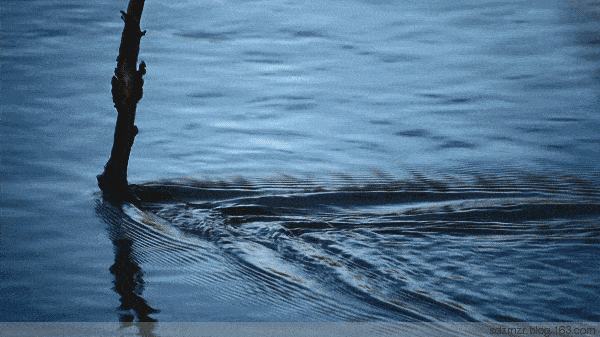 江城子·立冬滨城（外一首） 文/暧雨晴风（图2）