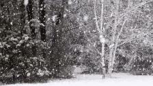 立冬晨吟 文/郑文华
