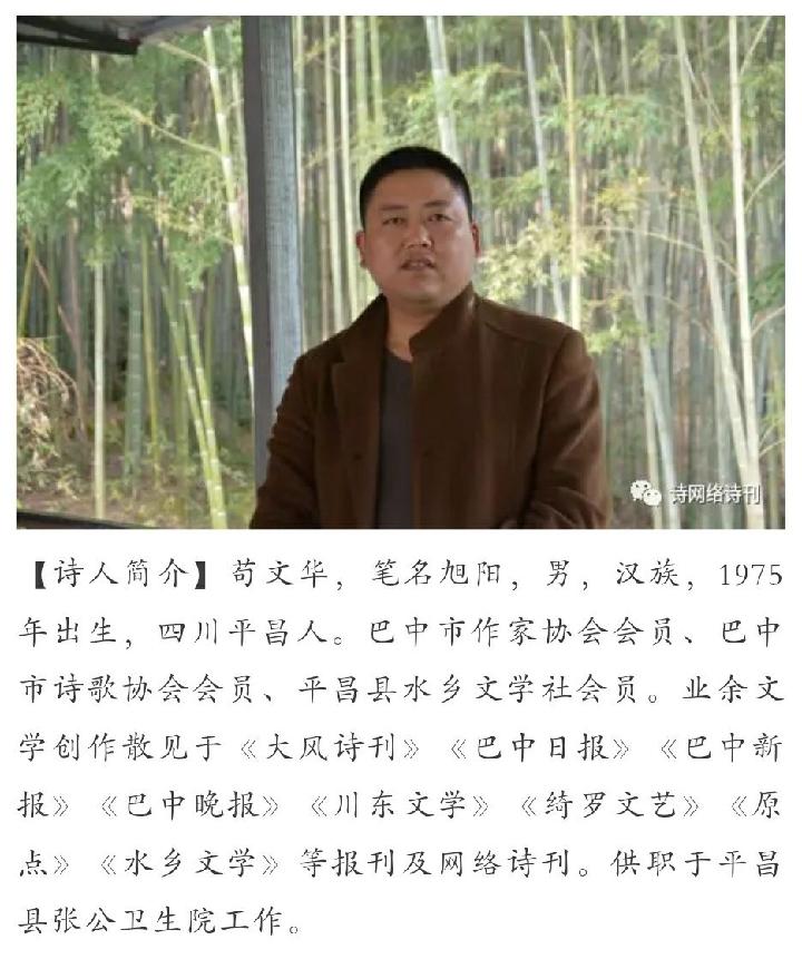 【诗生活】短诗精彩‖立冬日 文/旭阳（图2）