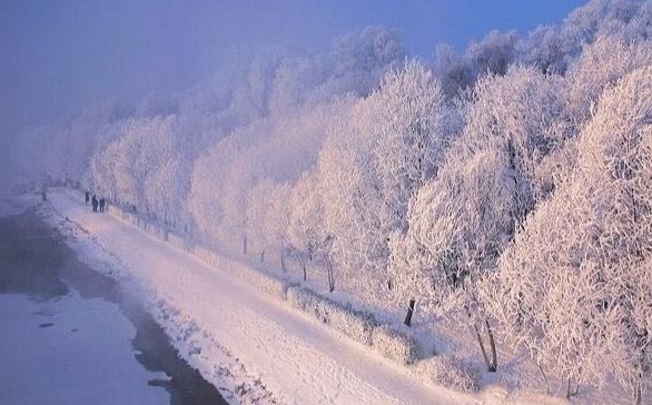 仿古体新诗:冬雪 文/新华人（图3）