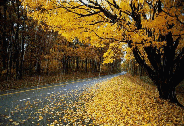 七绝‖听雨（外一首） 文/羊角