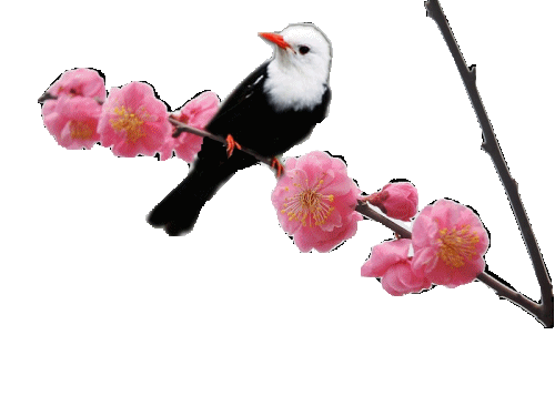 69A8B422-CA72-4288-A427-C9816BD6940F