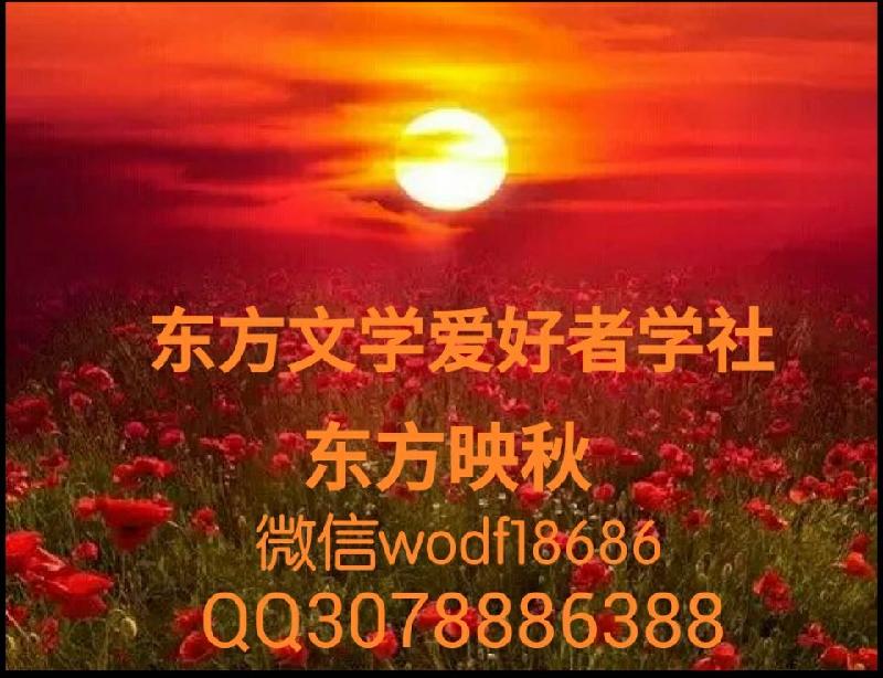 18d0e79ff07f72a0