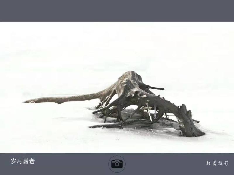 D666B999-ED9D-4DD9-8325-43DCB331701C