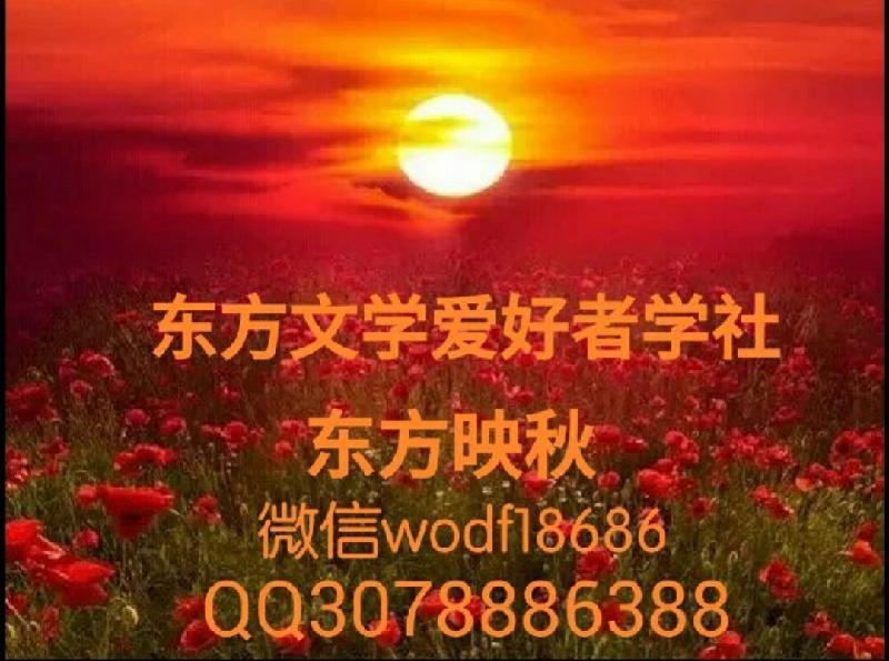 Screenshot_20191109-181157-193