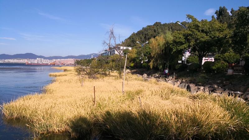 wx_camera_1573289255407