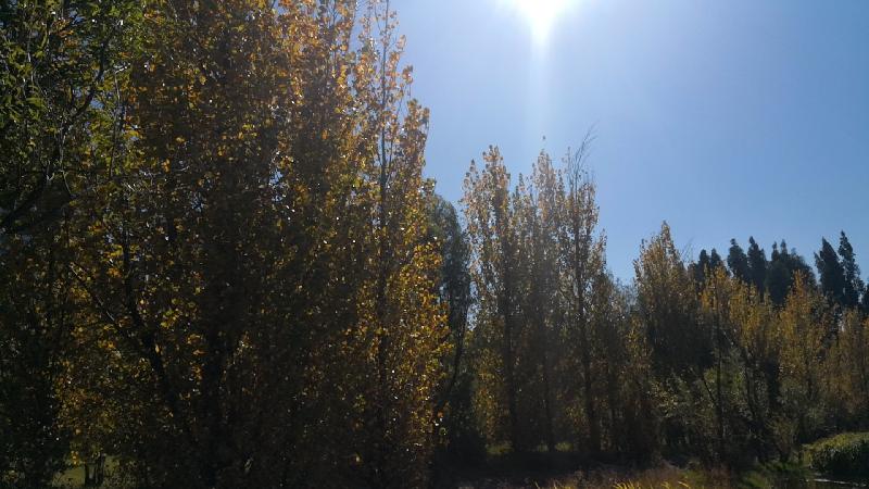 wx_camera_1573268439380