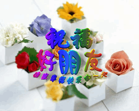 timg-282