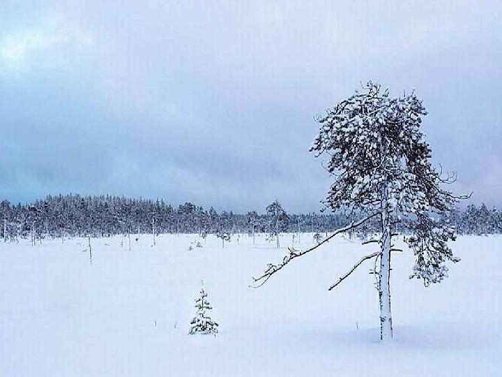 小雪 文/高立中