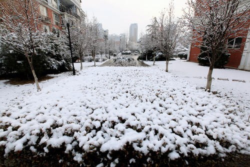 小雪 文/高立中（图2）