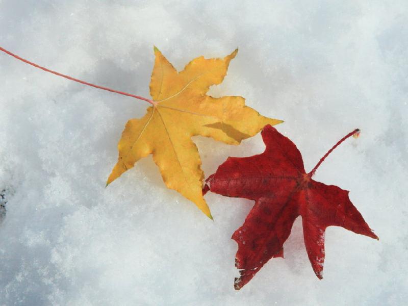 1573275759701