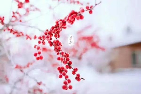 冬天的第一场雪