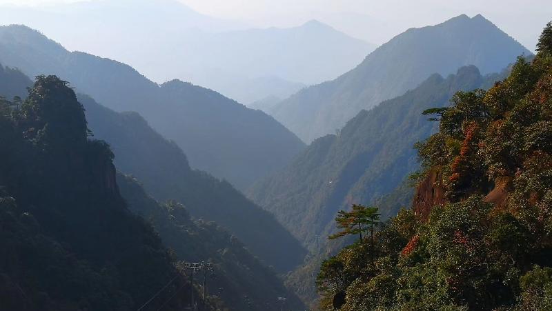 mmexport1573401933900