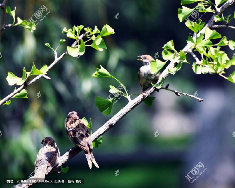 -77a9673d23e83df4