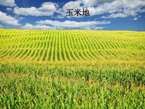 u_2643019171_875857537&fm_26&gp_0