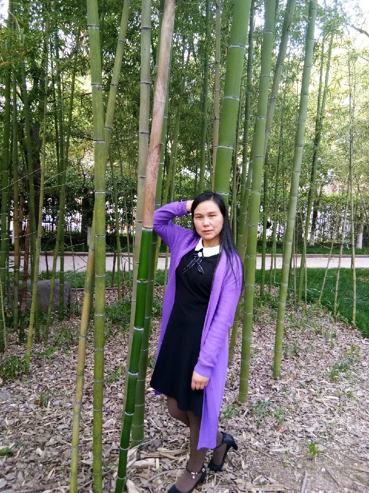 落花探冬 文/赵正霞（图2）