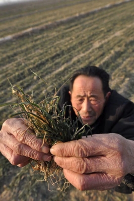荒年 作者:严春凤（图2）
