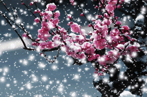 u_3414020134_1124182918&fm_26&gp_0