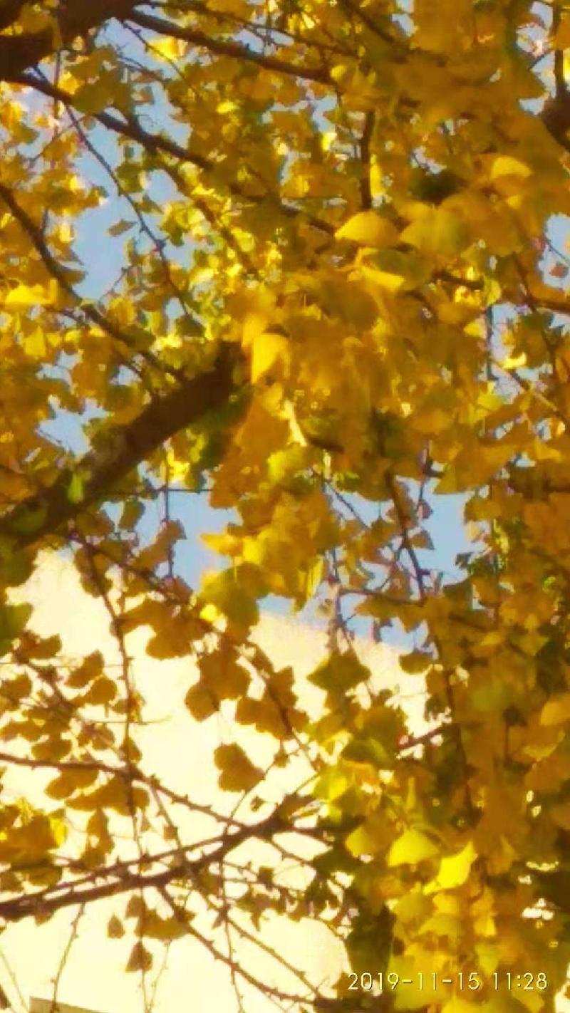 16B2C58E-DF0F-47E6-881C-4508AF567703