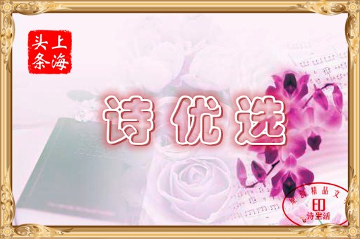 mmexport1573710798921