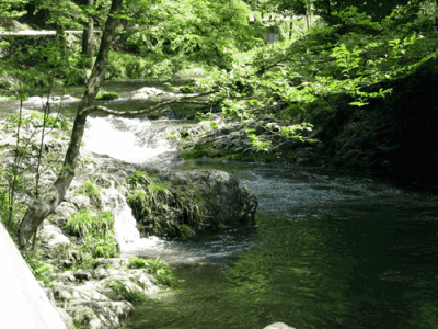 u_2867424417_292136338&fm_26&gp_0