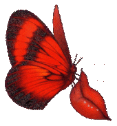 5108E2C2-D794-491E-8530-66F452E5CD1D