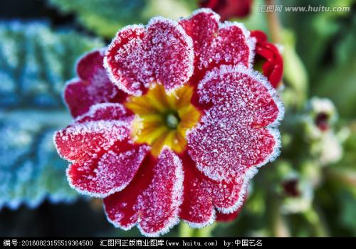 u_2678552996_3337937737&fm_26&gp_0