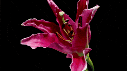 u_2792971885_3144510165&fm_26&gp_0