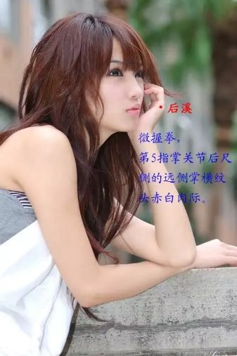 各种痛症的针灸治疗 ( 图解)(图6)