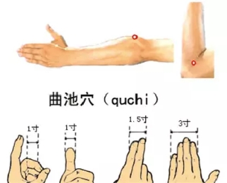 各种痛症的针灸治疗 ( 图解)(图11)