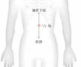 各种痛症的针灸治疗 ( 图解)(图13)