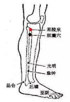 各种痛症的针灸治疗 ( 图解)(图17)