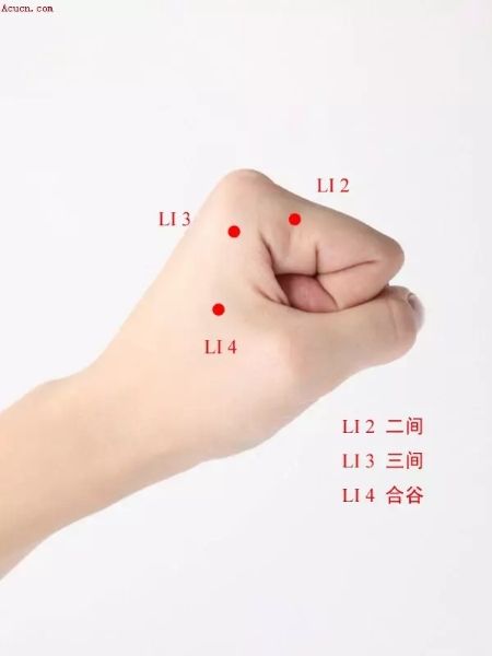 各种痛症的针灸治疗 ( 图解)(图21)
