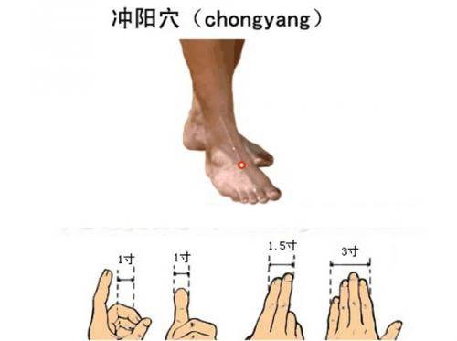 各种痛症的针灸治疗 ( 图解)(图24)