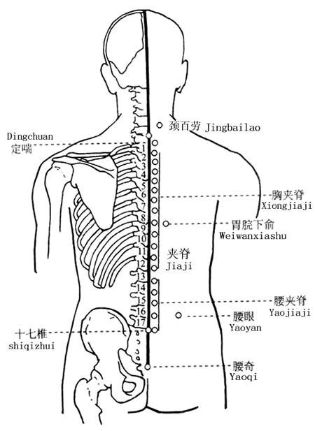 各种痛症的针灸治疗 ( 图解)(图25)