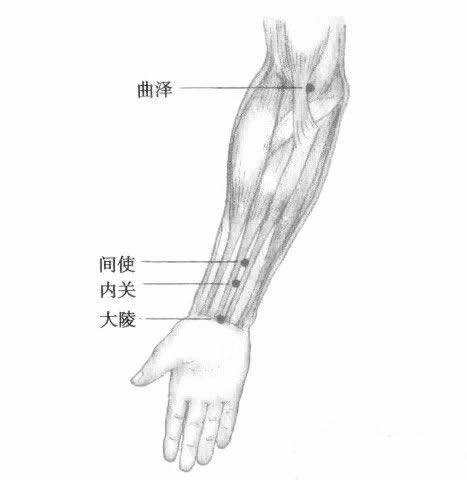 各种痛症的针灸治疗 ( 图解)(图31)