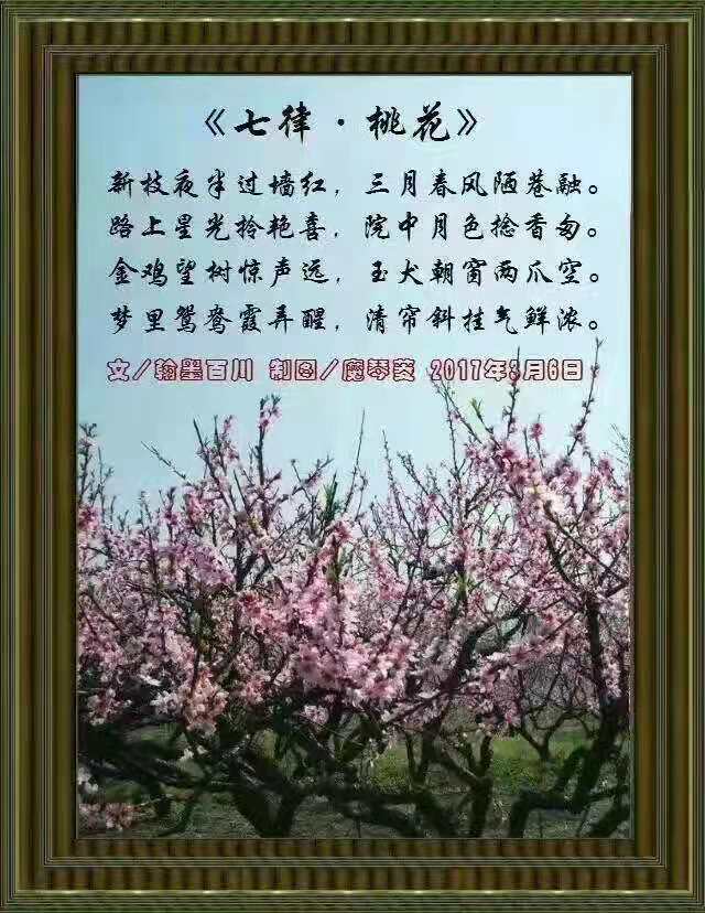 mmexport1574081616947