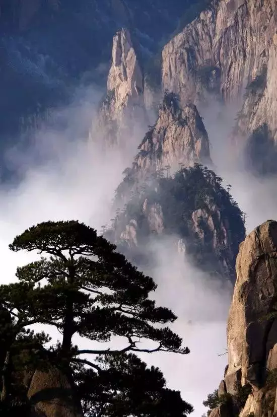1573709769482.WEBP
